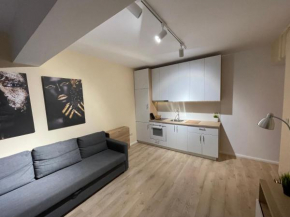 Riverside Luxury Apartment Near President Palace